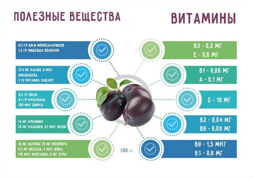 Описание универсального раннего сорта алычи Клеопатра