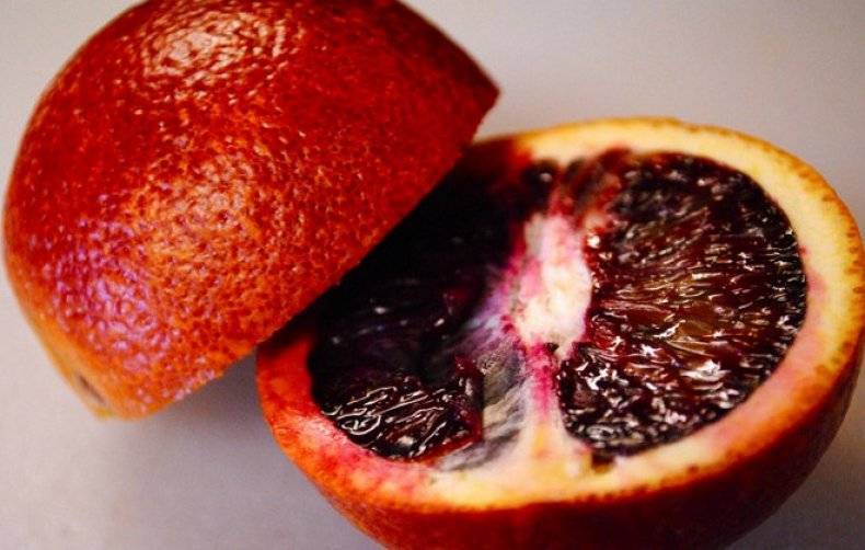 Гибрид апельсина и граната: название фрукта, фото