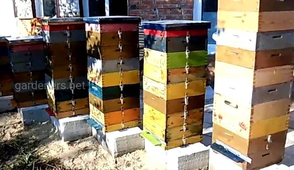 Содержание пчел в многокорпусных ульях