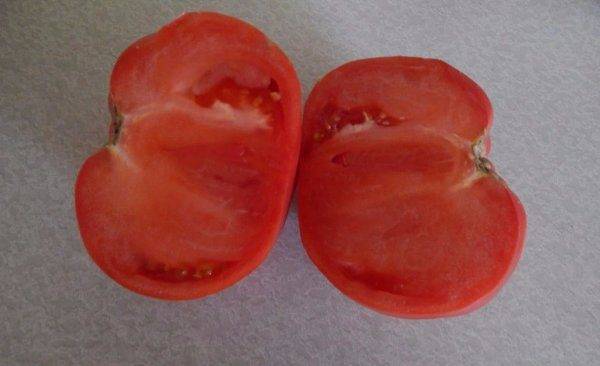 Общая характеристика сорта томатов «бабушкин секрет»