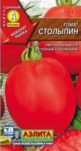 Выращивание томата столыпин