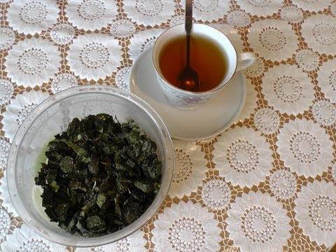 Лучше магазинного чая: как превратить листья малины и смородины в заварку