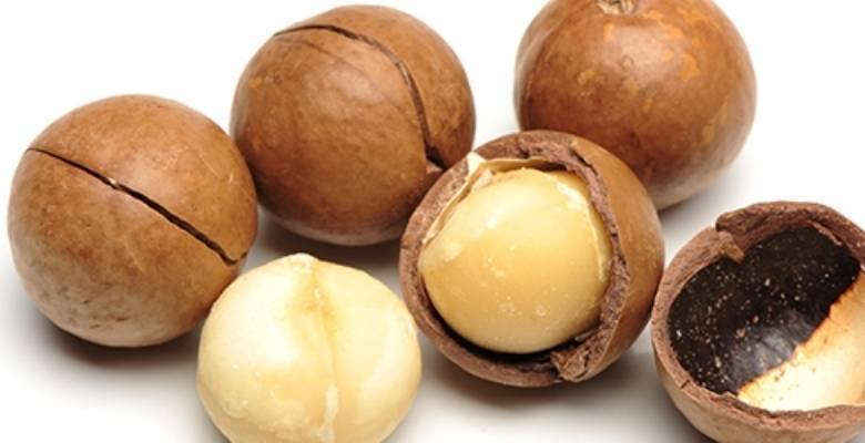 Орех макадамия – полезные свойства для организма и противопоказания