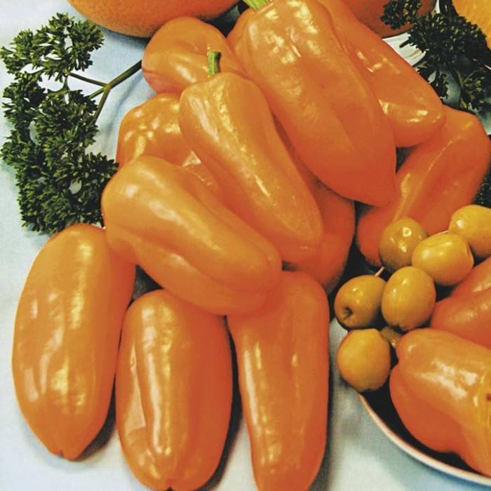 Гипоаллергенные плоды для диетического питания — перец желтый апельсин: подробное описание