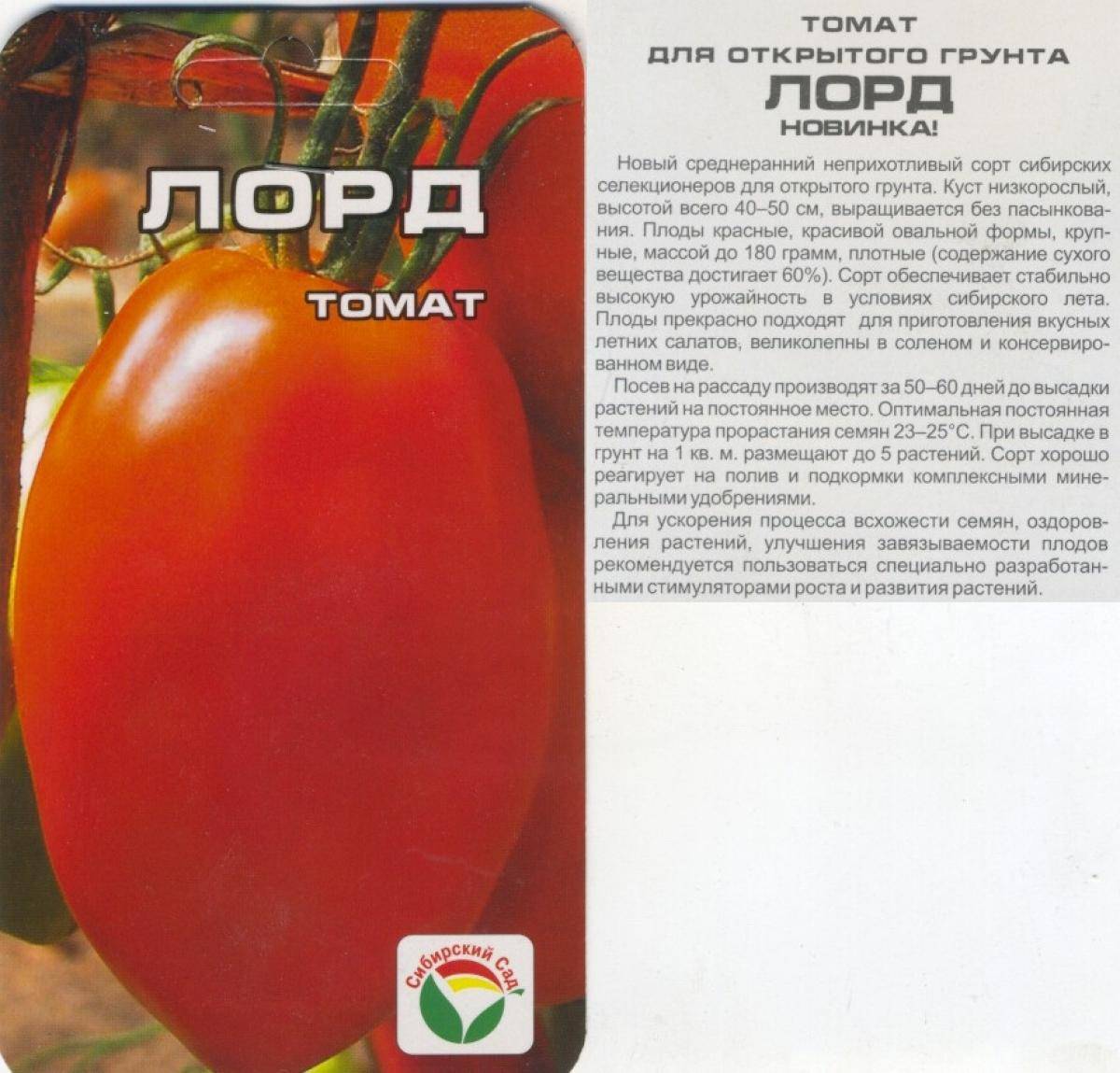 Лучшие сорта низкорослых помидор с фото и описанием
