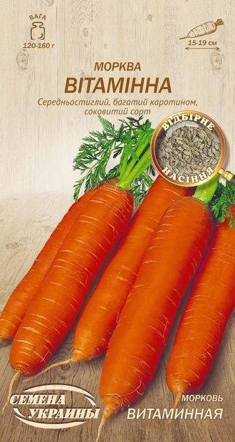 Сорт моркови детская сладкая: описание сорта + отзывы