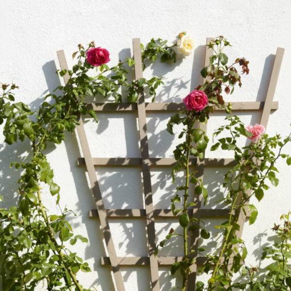 Опоры для плетистых роз (29 фото): обзор шпалер, арок и подставок для плетистой розы. как сделать шпалеру из металла своими руками?