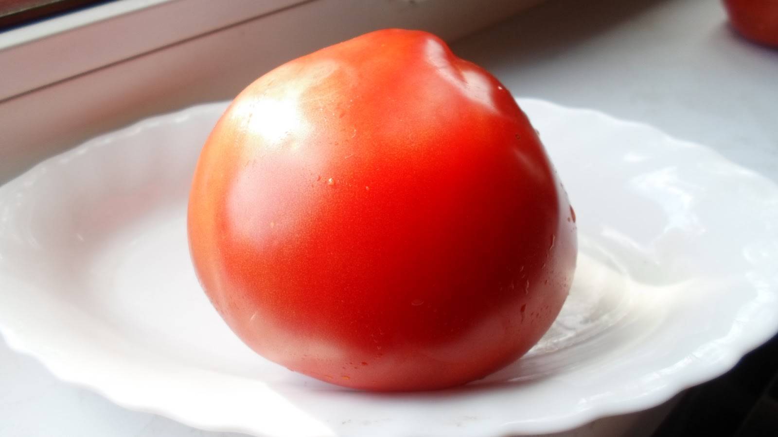 Собираем небывалые урожаи с томатом гусиное яйцо — описание сорта и особенности выращивания