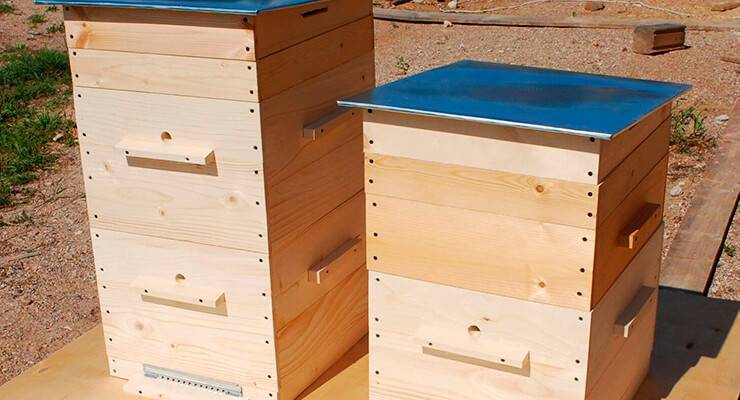 Содержание пчел в многокорпусном улье: преимущества и инструкции