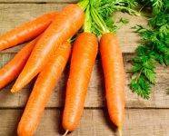 Морковь «королева осени»: отзывы, фото, урожайность, описание и характеристика сорта