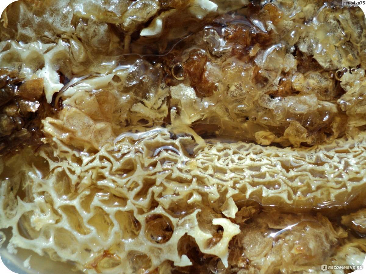 Мёд с забрусом: характеристики, состав, лечебные свойства, хранение