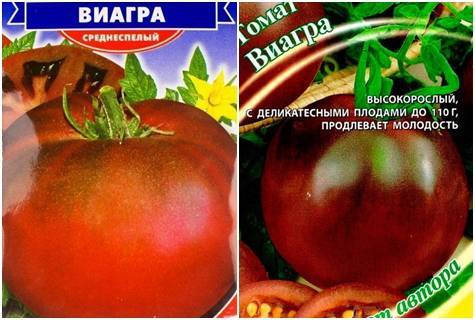 Выращиваем полезный томат «виагра»: описание сорта и фото