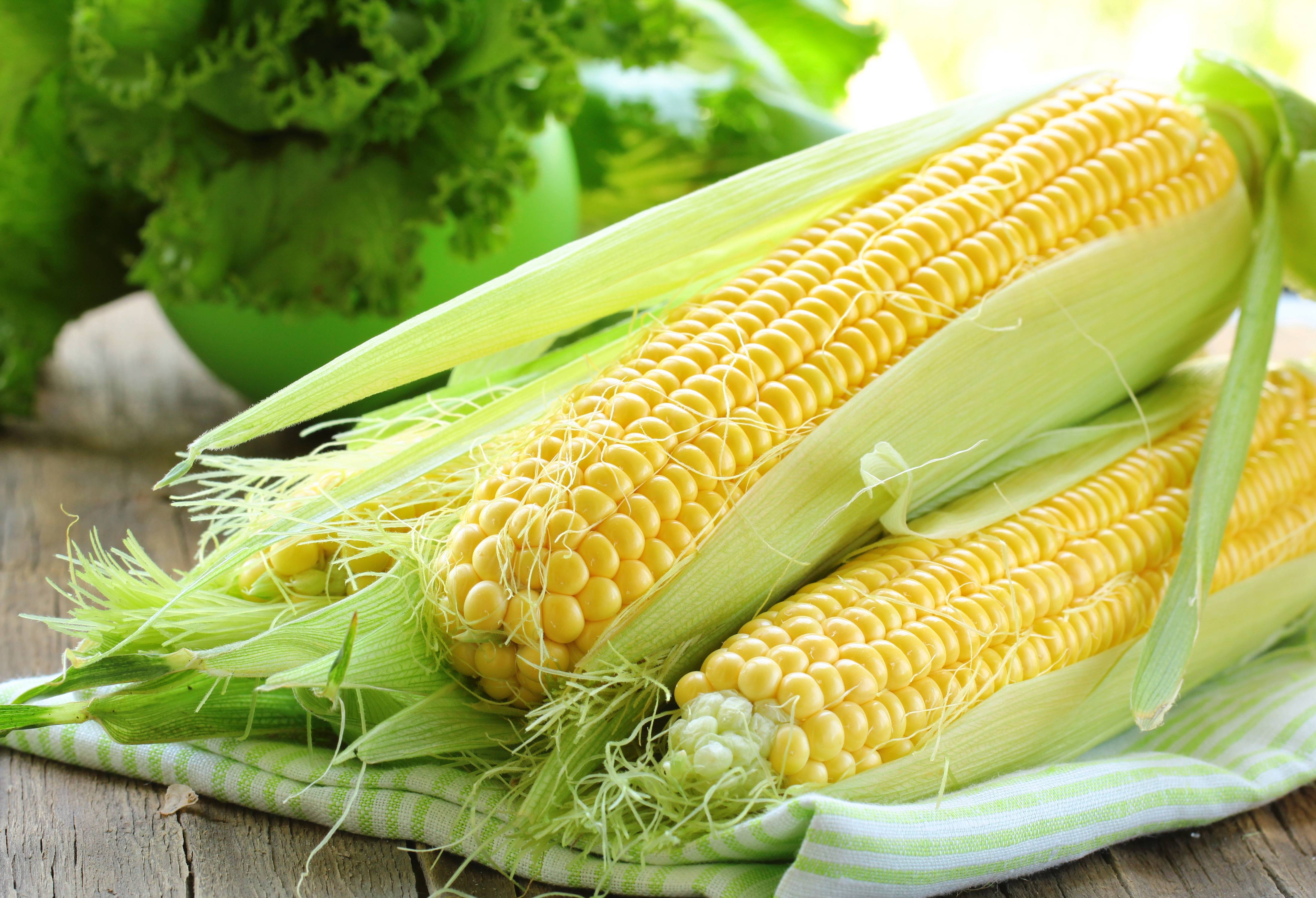 Варёная кукуруза: калорийность, польза и вред для здоровья организма