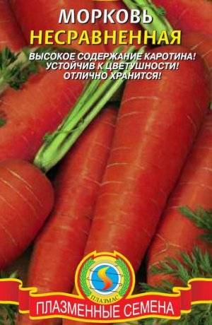 Морковь: как выбрать лучший сорт и правильно посадить весной и осенью?