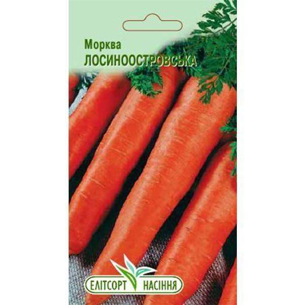 Среднеспелый сорт моркови лосиноостровская
