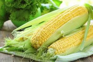 Все о вареной кукурузе: сколько калорий, какие витамины, польза и вред продукта