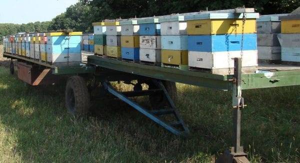 Прицеп для пчел: передаем все нюансы