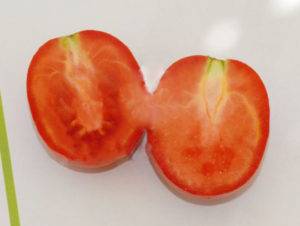 Сорт с устойчивостью к любым температурам — томат брат 2 f1: подробное описание гибрида