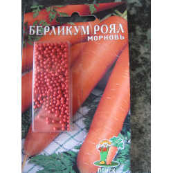 Особенности выращивания и ухода за морковью берликум роял