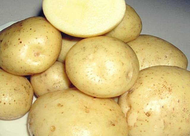 Купить клубни картофель ирбитский — от нпо сады росcии