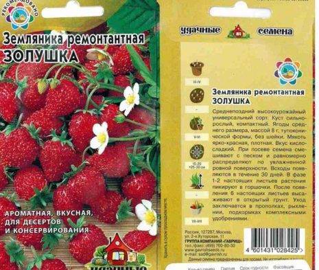 Земляника золушка описание сорта
