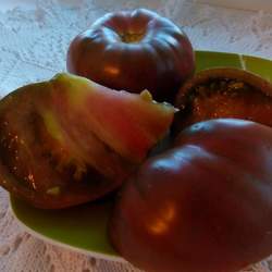 Описание и урожайность сорта томата зефир в шоколаде