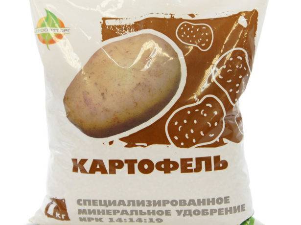 Удобрение для картофеля при посадке: основные правила подбора и внесения