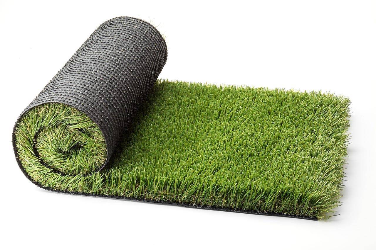 Как сделать газон на даче своими руками: выбор травы и пошаговая инструкция обустройства