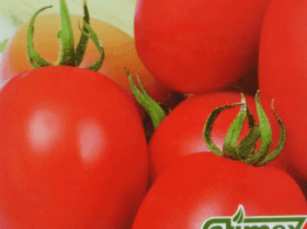 Неприхотливый томат «маруся» с отличными вкусовыми качествами: выращиваем самостоятельно и наслаждаемся урожаем