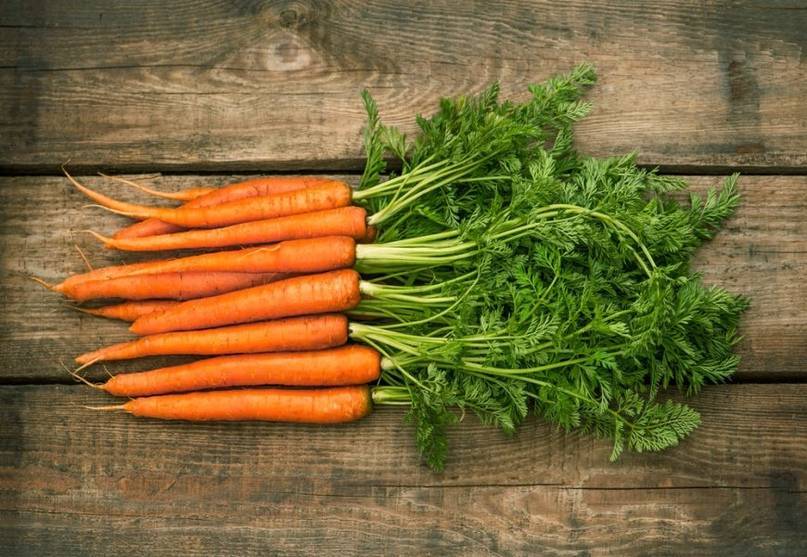 Как посадить морковь семенами в открытый грунт весной