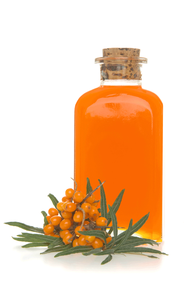Облепиховое масло — лечебные свойства и его применение