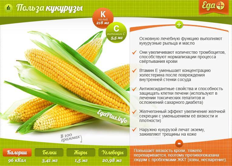 Польза и вред кукурузы для организма человека