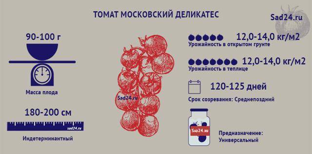 Кто сажал томат московский деликатес: 30 фото и отзывы