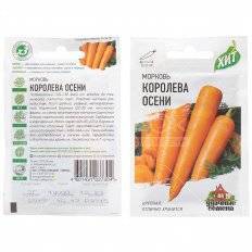 Характеристика сорта моркови королева осени