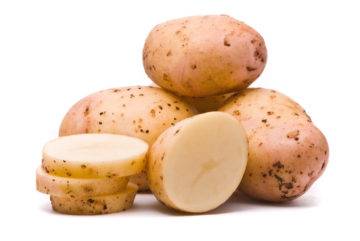 Столовый сорт картофеля импала. особенности культуры, агротехника и отзывы