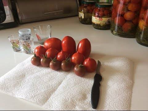Огородные хитрости: как вырастить крепкую рассаду томатов в домашних условиях