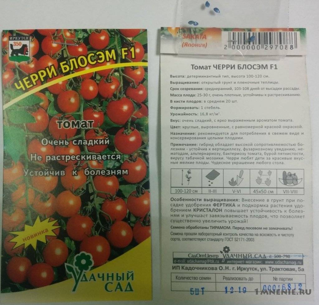 Лучшие сорта красных и желтых томатов черри для разных регионов страны: с фото и описанием - общая информация - 2020