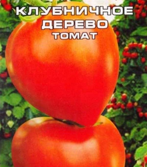 Описание сорта томатов «клубничное дерево» — агрофирмы «сибирский сад»