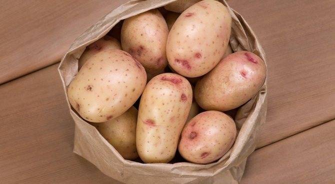 Сорт картофеля ажур: характеристика и описание сорта, фото, отзывы