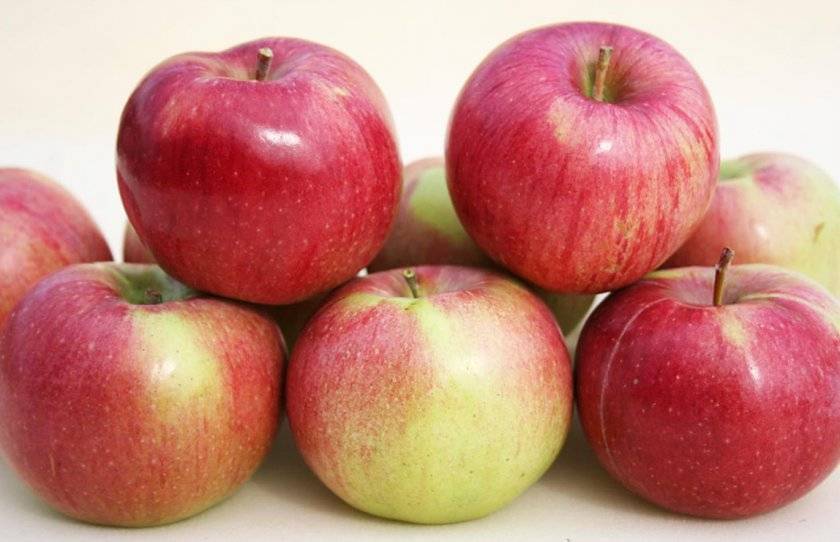 Описание яблони сорта анис свердловский: характеристики, фото, отзывы, видео