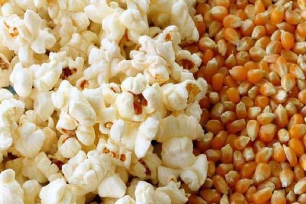 Как сделать попкорн из свежей кукурузы. как можно сделать попкорн из кукурузы: инструкция