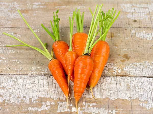 Морковь наярит f1 — описание сорта, фото, отзывы, посадка и уход