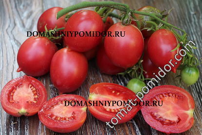 Описание сорта томата сызранская пипочка, выращивание и уход