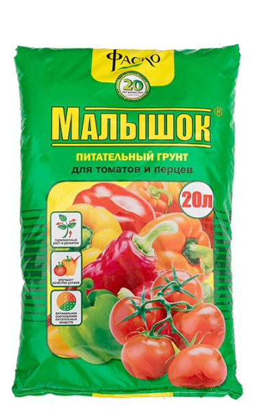 Почва для рассады томатов и перцев: подбор емкостей, когда и как сажать семена, уход и пересадка молодых всходов