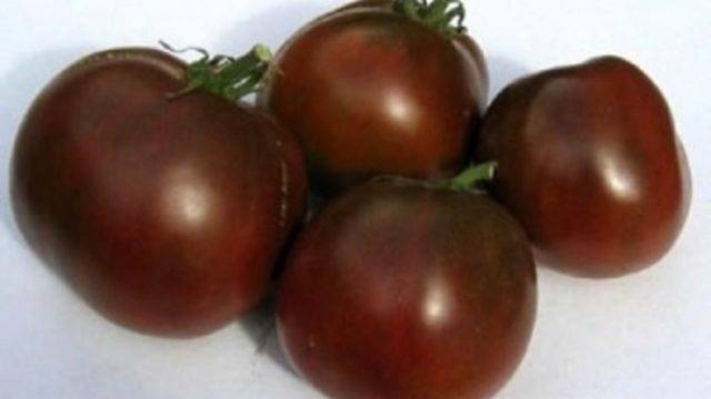 Томат «черри ира» f1: описание сорта, фото, особенности посадки и ухода за помидором