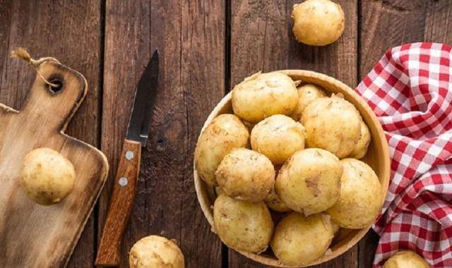Хранение картофеля – как на зиму сохранить собранный урожай