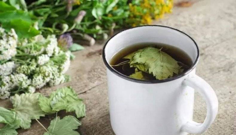 Ферментация смородиновых листьев. домашний чай с ягодным вкусом!