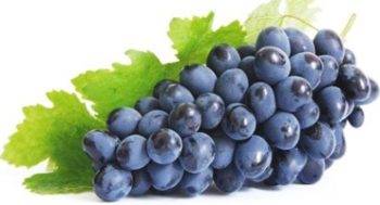 Сорт виноград изабелла — описание, фото, отзывы, видео.