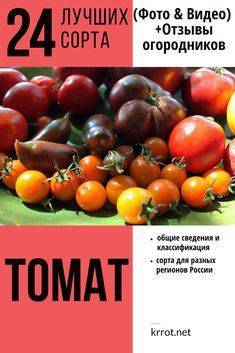 Мой огород 5. моя любовь - мелкоплодные томаты и черри