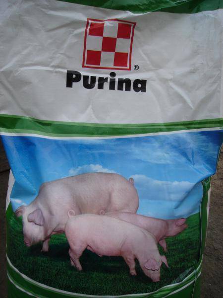 Премиксы для свиней: виды и состав, советы по использованию